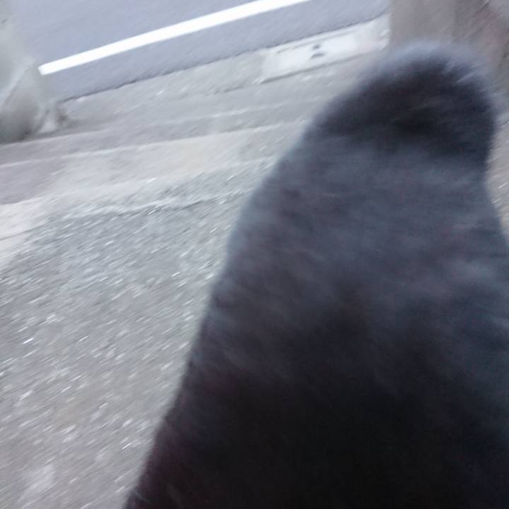 45603dfa 6866 4c5a 87e7 db92fce61a35 1627809367497