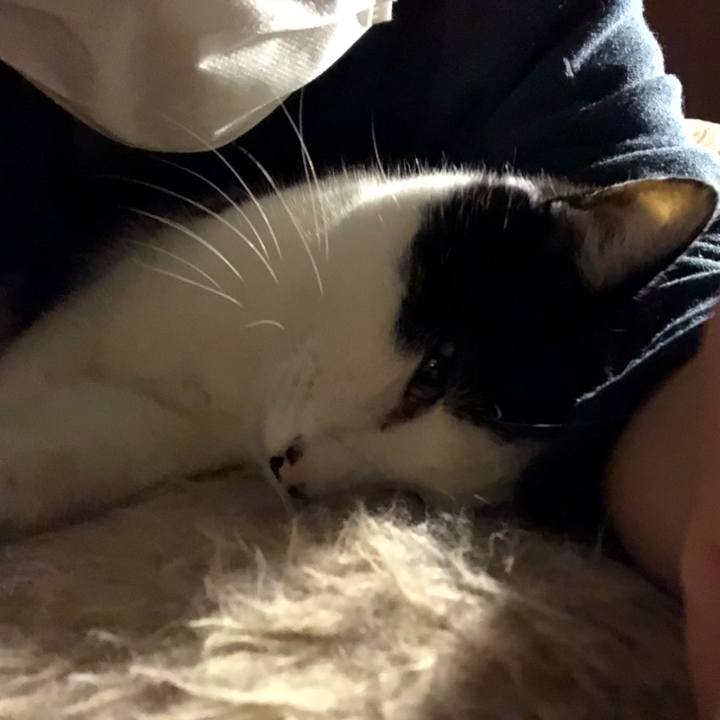 45603f32 736d 4f92 995e d91dce97424f 1548676846212