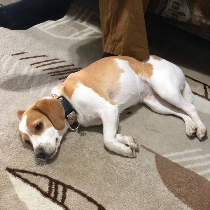 45606a55 b897 4306 bf9e 6489e5a9496c 1618793249232