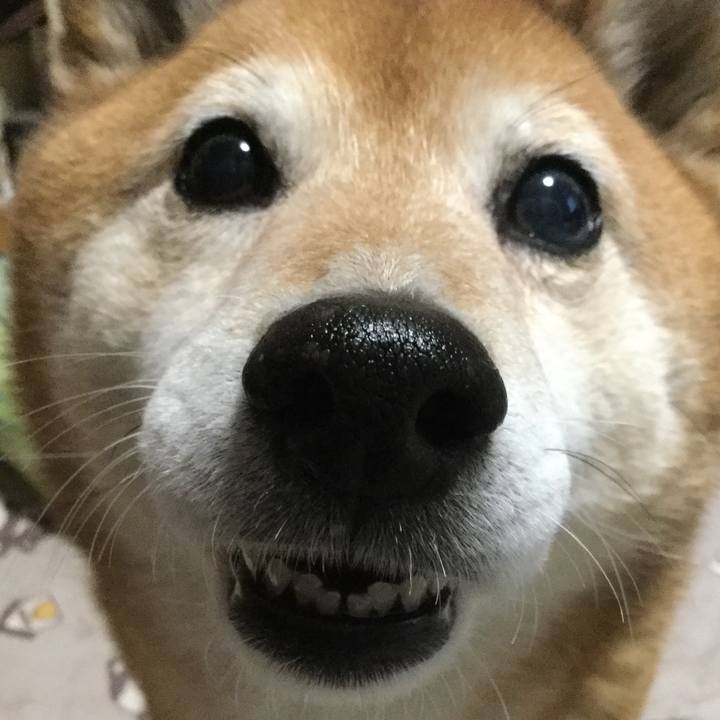 45607333 d60a 4b38 86d1 6bb8dd632bee 1616239599486