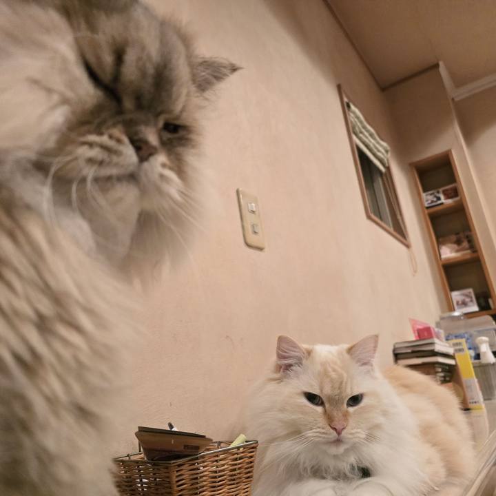 45608871 396d 472c 9490 358f879ee6be 1735200845215