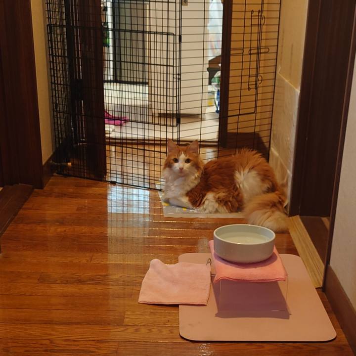 45609fd8 4383 4cc7 b1cf 5f7bc9f1d0f5 1695867862755