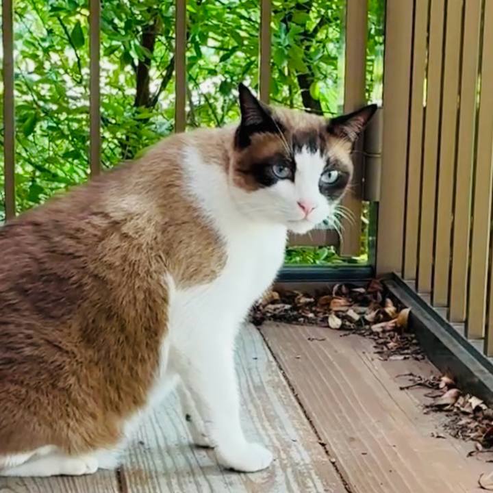 4560a80d f32a 47a5 9c21 d09dde9f0185 1753152690697