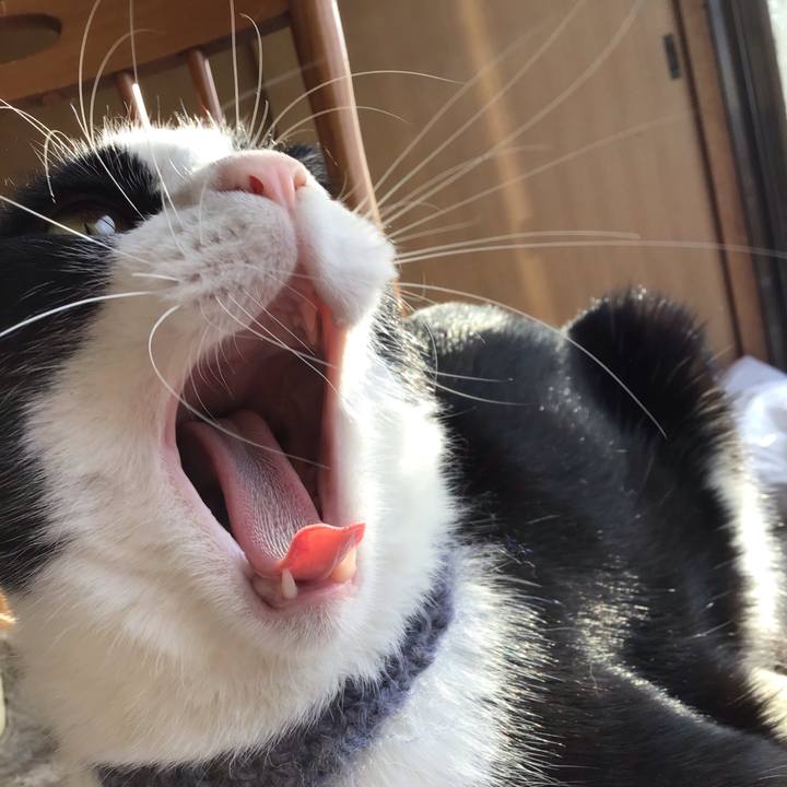 4560b084 3c44 430a b6b4 811e12974a08 1667093757828