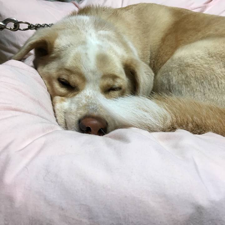 4560b5ec 6972 4aea bad3 e8694f1fce50 1521382767432