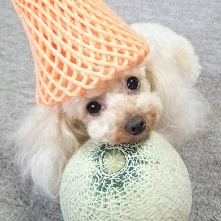 4560caf7 6515 4da2 8c0c c7a207d9a16c 1531915296704