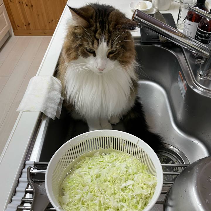 4560d4a8 f6e7 4232 b99d cb7dfccee906 1701377375962