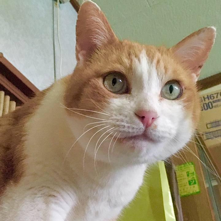 45611ff5 60e6 40ad 92f0 b6784f0a38de 1588144376226