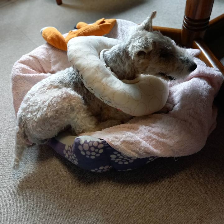 4561581d 9e87 4784 b3a9 9aa9e87c0f8a 1652499383512