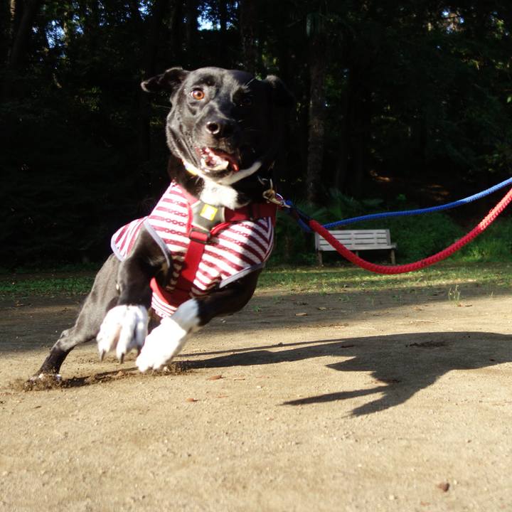 45617d88 91e8 47a7 8d72 37f685ace695 1598659193142