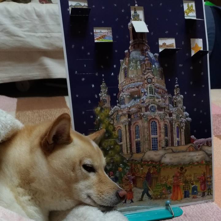 45618a0b c464 4161 b4f9 df1fbd452c21 1607253589185