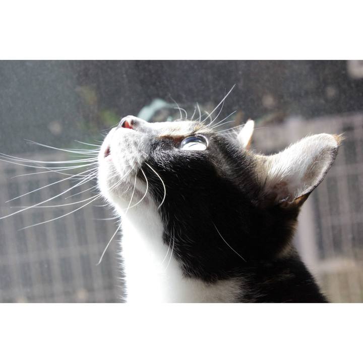 4561cc37 0fb4 4223 81c3 9fe98d2c9b2c 1681182962922