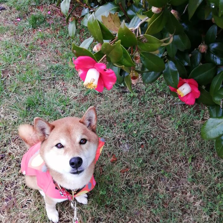 4561da98 5a9d 43d8 9fc8 a476204a962e 1583304587653