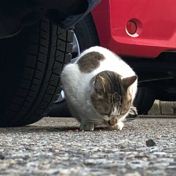 45620c1a 7947 401f b181 e4ec0fa6a7ee 1516028331349