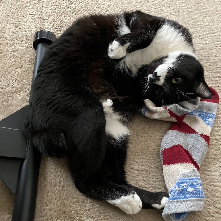 45621aff cd12 42f6 bbc8 0d90835f235d 1713238411395