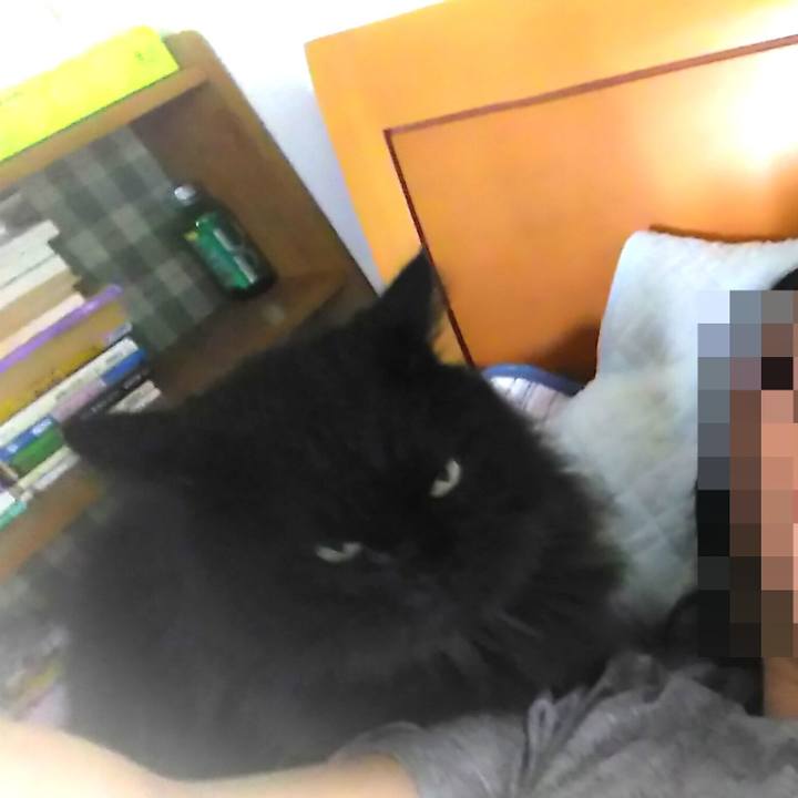 4562375e 055e 4192 8fcb ea3c1ff3cdb7 1568796016195