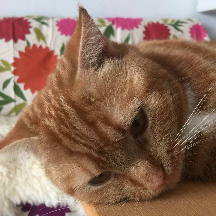 45623b03 d8ae 435b a034 f91caac1f460 1535771419371