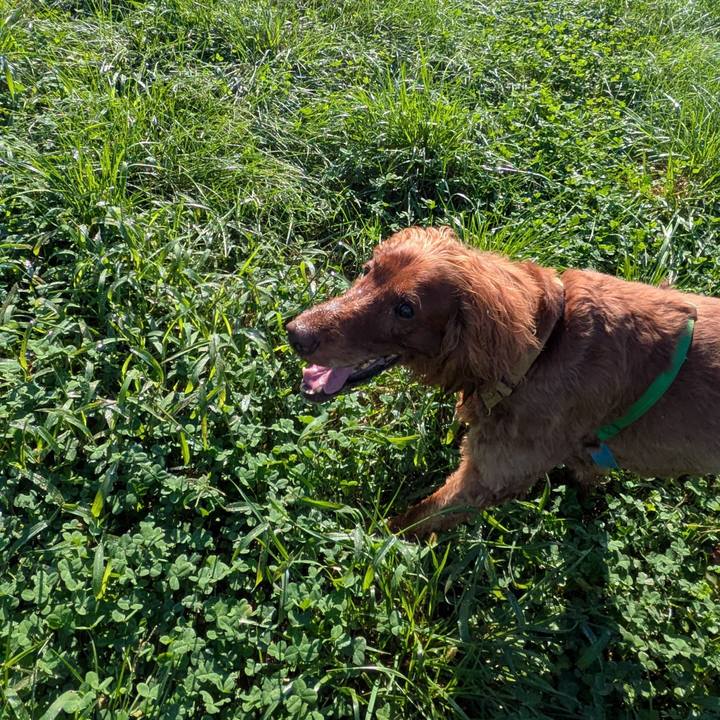 45624a46 8e4d 4e52 acef 8f589fe4f996 1757640721461