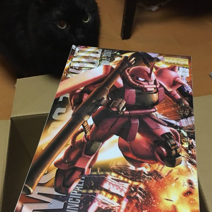 4562966a 7897 4885 aa57 ddf41625216d 1560181025702