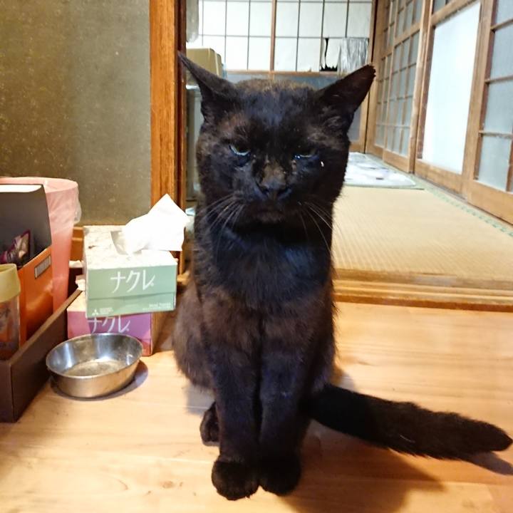 4562bfd5 794e 40ce b5fb 67443754643c 1625574055405