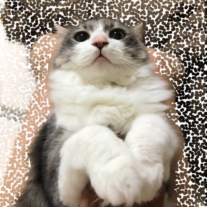 45631068 d212 482c be72 1b0c9d83a5d5 1542959163948