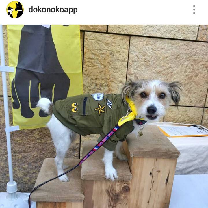 456369cb 485b 4696 808d 52776623961b 1511187511797