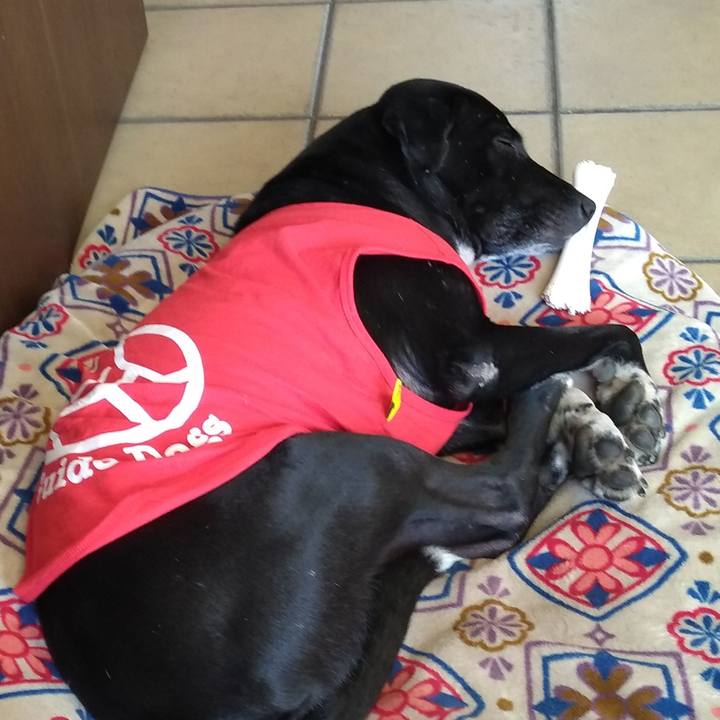 45639c0c 9cc4 4f5c a531 8cae88ed716a 1614510072016