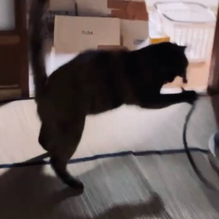 4563a196 eb88 44f1 bf38 75a98b2ae75f 1732471979499