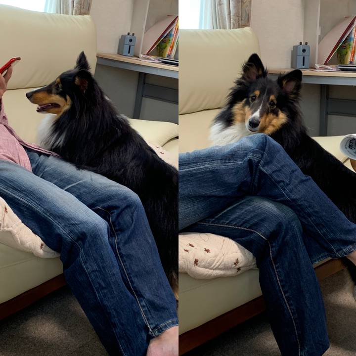 4563a754 ae0f 4706 9731 560aba73cb86 1560555577468