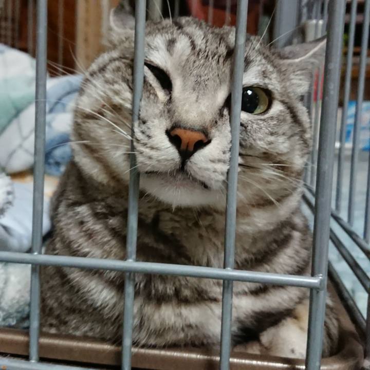 4563ab80 faee 4d89 b084 59884dab5e45 1562239309723