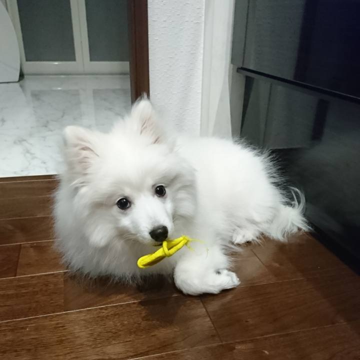 4563bf9d 26f9 4214 9740 e6ce8ae5b1c5 1550150100486