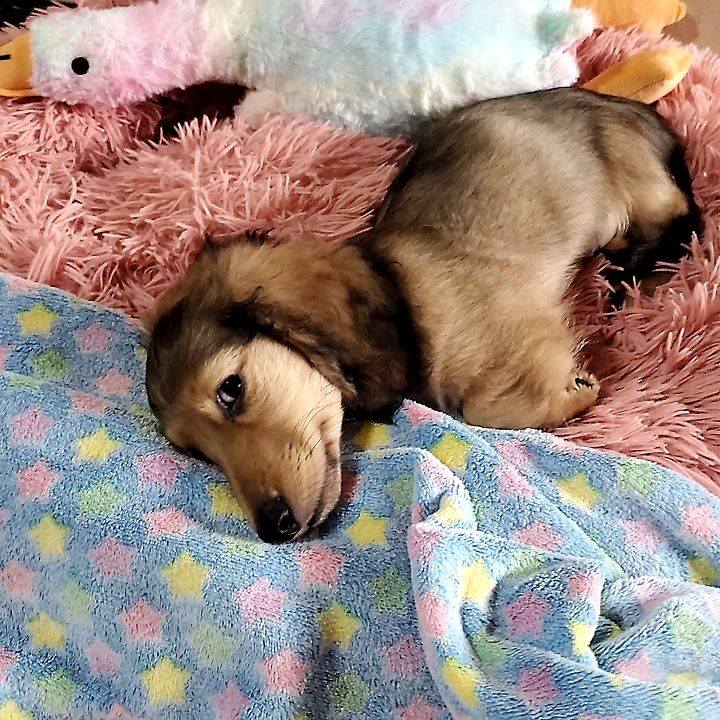 4563c191 f996 44cb b2bd d956621a799b 1760851123789