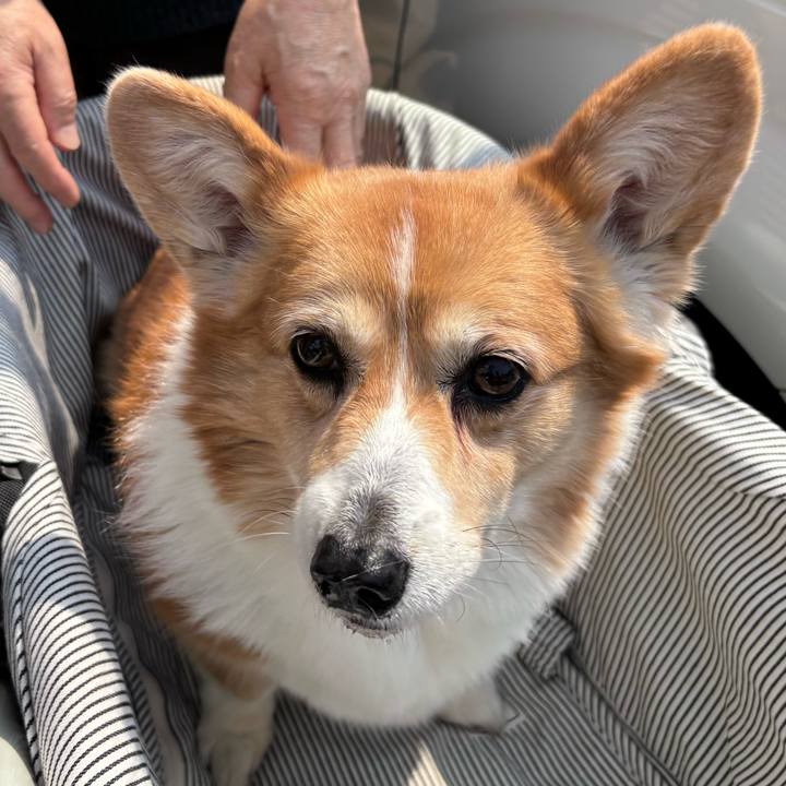 45642e68 384c 4b2d 9616 7e1474999cc1 1743996614831