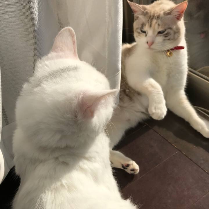 4564318a 1eba 45f9 950a 25bd2bd644eb 1512274465089