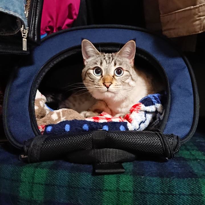 456443b9 46f5 477b a09f 0c349486a393 1557139973481