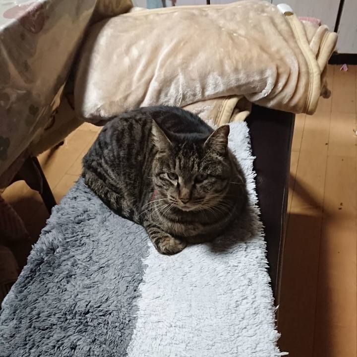 4564a2cc 0882 4d98 9a22 e672948de698 1641808223285