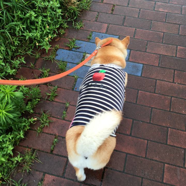 4564abc8 5473 44f6 af7d 7251467aea68 1563253154058