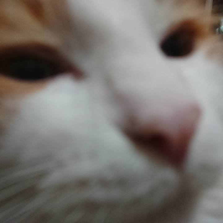 4564bba3 470b 48fc 9a0e 462ec0fbfc74 1568209783823