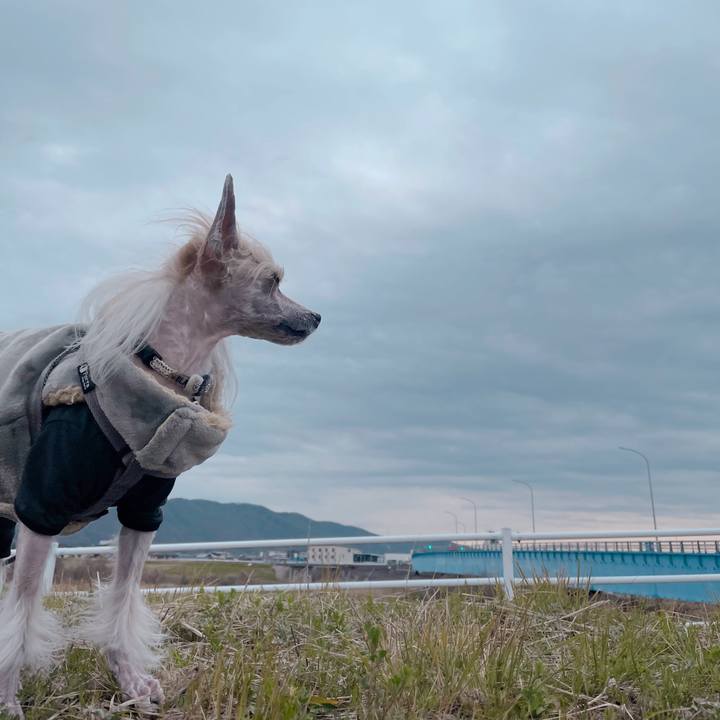 4564cf75 247f 4a75 a4e4 defdeca7a55d 1772783870586