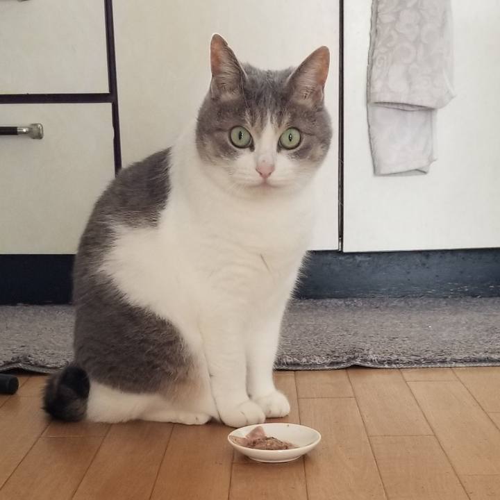 4564eaf8 0eb4 4e91 bca1 551f98fb5920 1690261377964