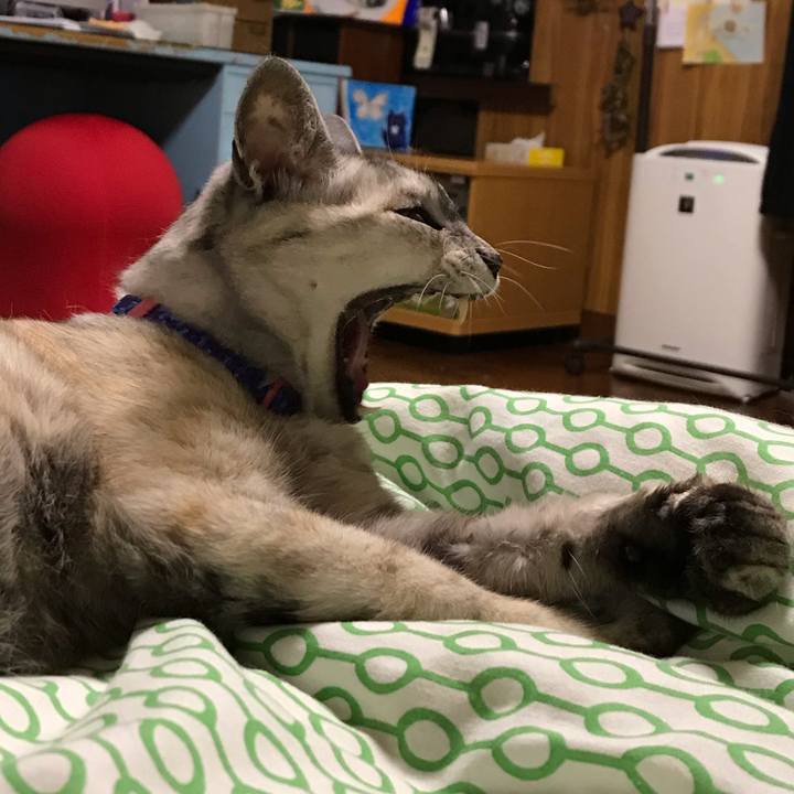 456508c0 9002 4e46 89b5 803afdfbee6f 1596104388461