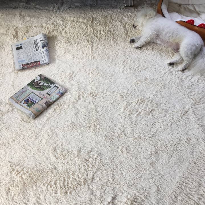 4565637b cb13 4451 b71a cc23a2e3cb73 1539480035979