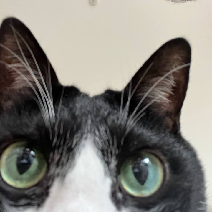 45656727 fbaa 494f aa55 dbbc04aa2299 1760913550498