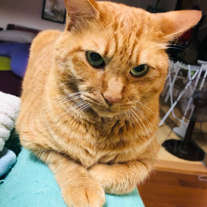 456575ea 9ea5 41ca 9b6d fd3457a9ef6d 1761139702470