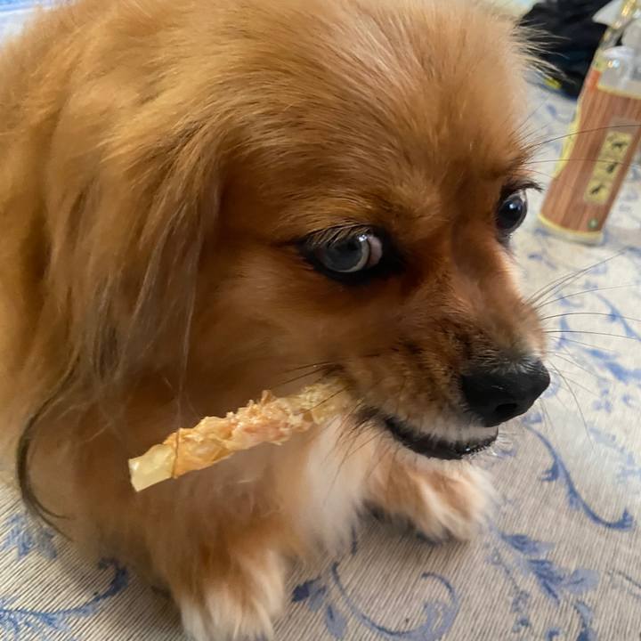 4565899d d303 43f2 901f e2b66dd837df 1632261108191