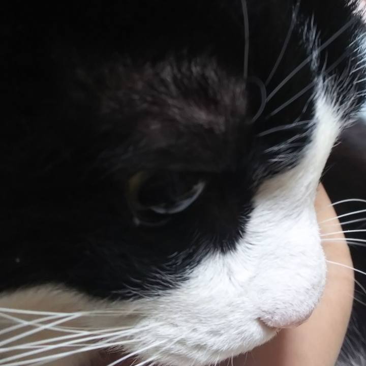 4565bcee b4bd 4272 b86d 668c47106335 1580766869930