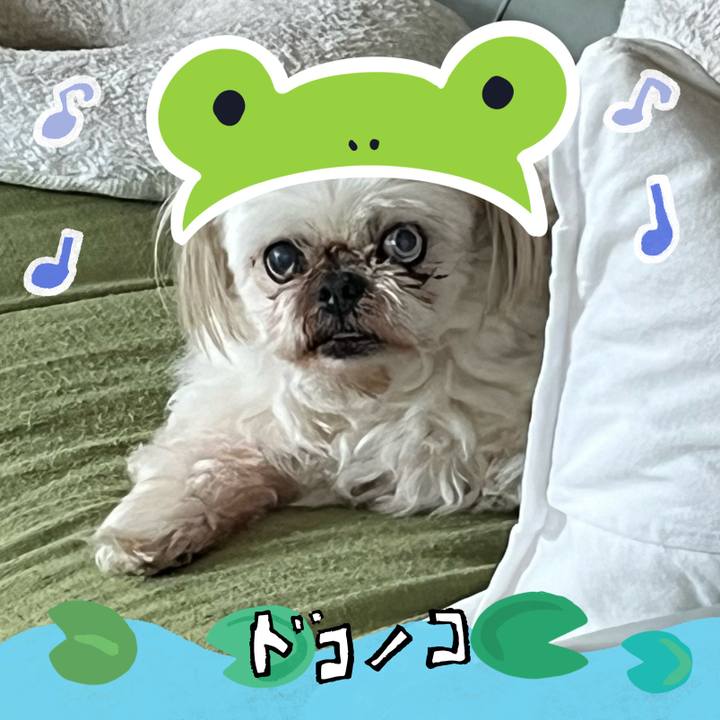 456624c1 b644 4d2a 8690 91da28901cb7 1717638093035