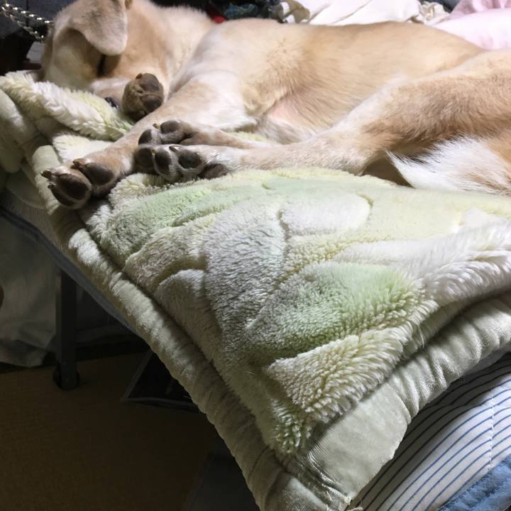 45666f2f 2920 4f79 97da 7127660863a5 1516105564671