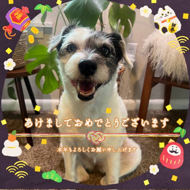 45666f5d 263c 4137 ab48 3564f9e7f3bb 1735701966745