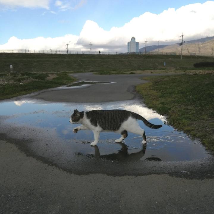 4566bbf0 2fbe 4dcf 837c d6e6a4b37ff4 1582803427991